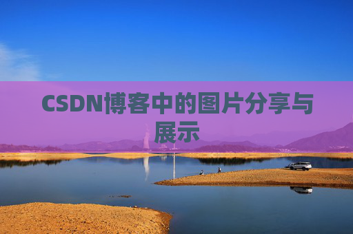 CSDN博客中的图片分享与展示